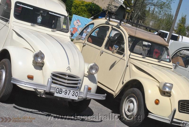CITRONETAS_RIO_CLARO_007