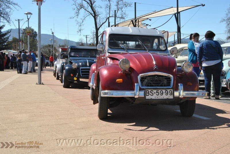 CITRONETAS_RIO_CLARO_008
