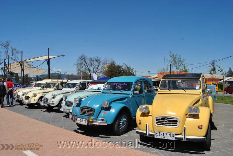 CITRONETAS_RIO_CLARO_013