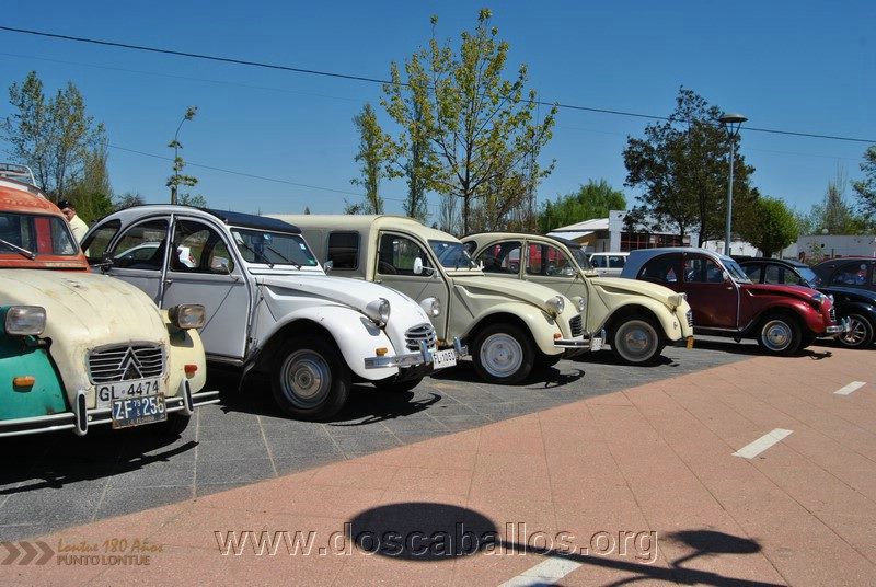 CITRONETAS_RIO_CLARO_014