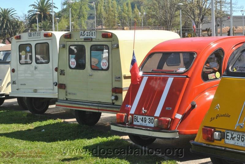 CITRONETAS_RIO_CLARO_017