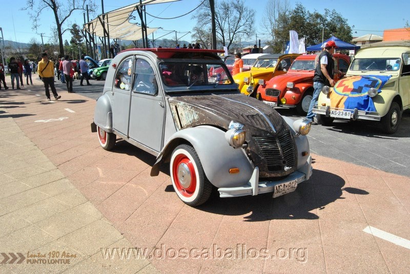 CITRONETAS_RIO_CLARO_020