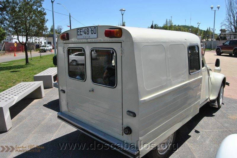 CITRONETAS_RIO_CLARO_022