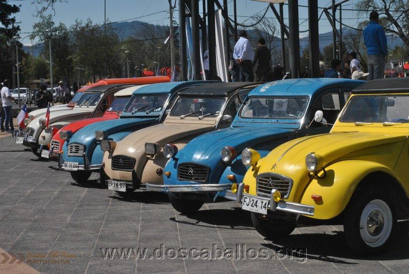 CITRONETAS_RIO_CLARO_026