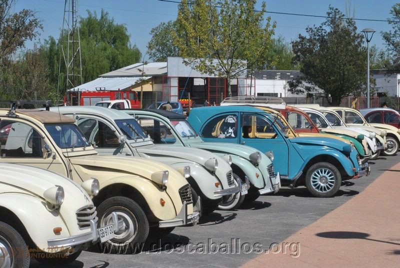 CITRONETAS_RIO_CLARO_028
