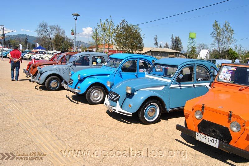CITRONETAS_RIO_CLARO_029