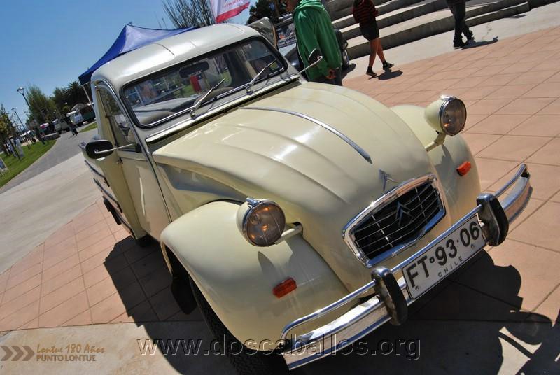 CITRONETAS_RIO_CLARO_033