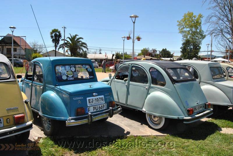 CITRONETAS_RIO_CLARO_034