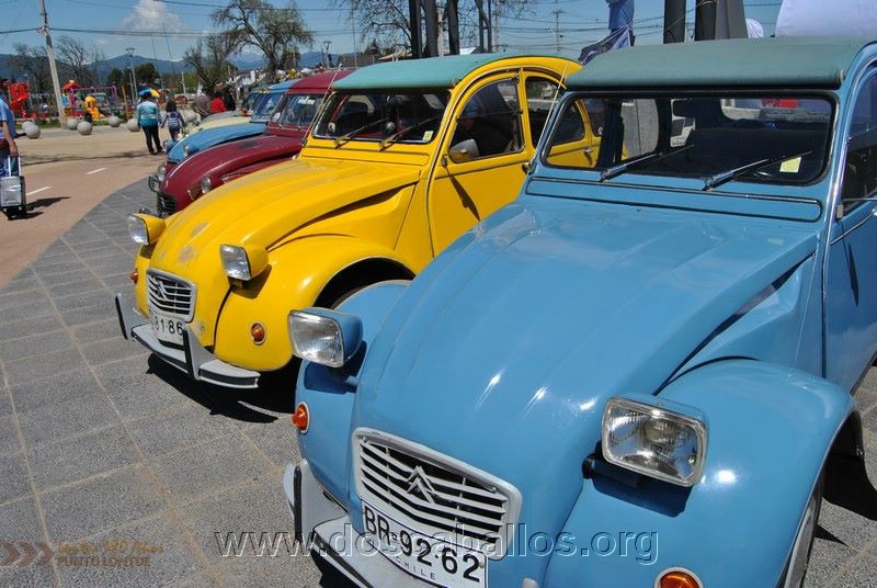CITRONETAS_RIO_CLARO_037