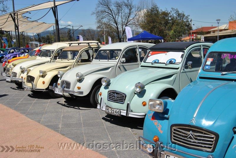 CITRONETAS_RIO_CLARO_040