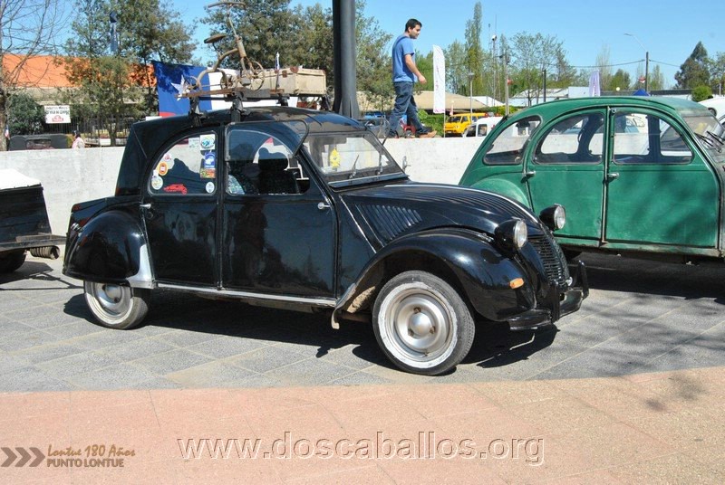 CITRONETAS_RIO_CLARO_042