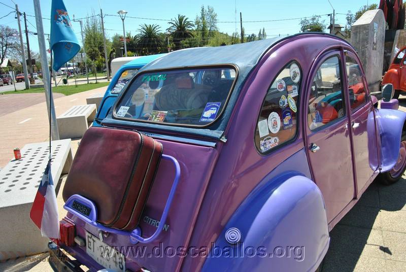 CITRONETAS_RIO_CLARO_043