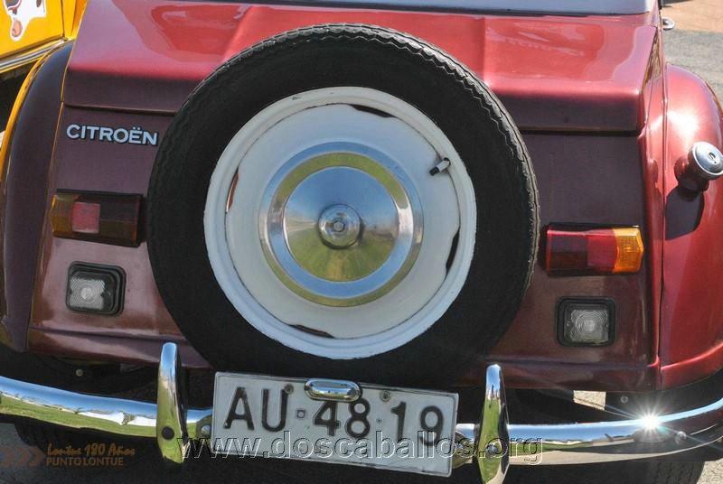 CITRONETAS_RIO_CLARO_046