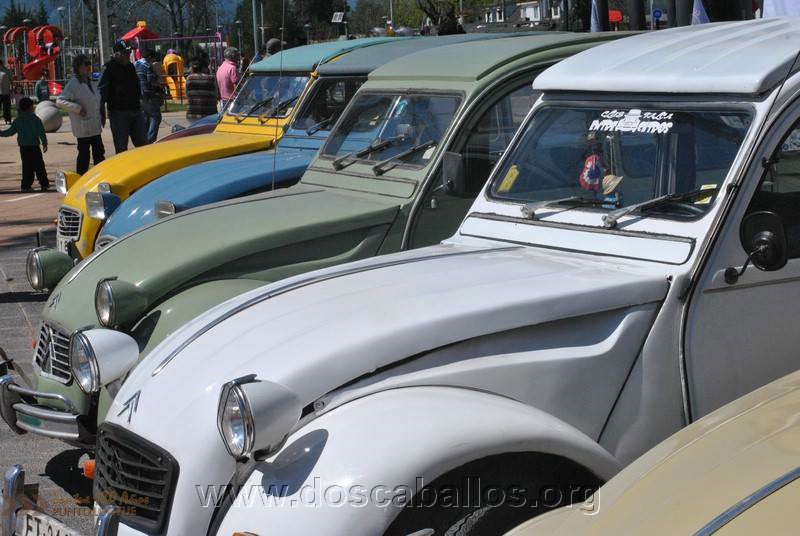 CITRONETAS_RIO_CLARO_049