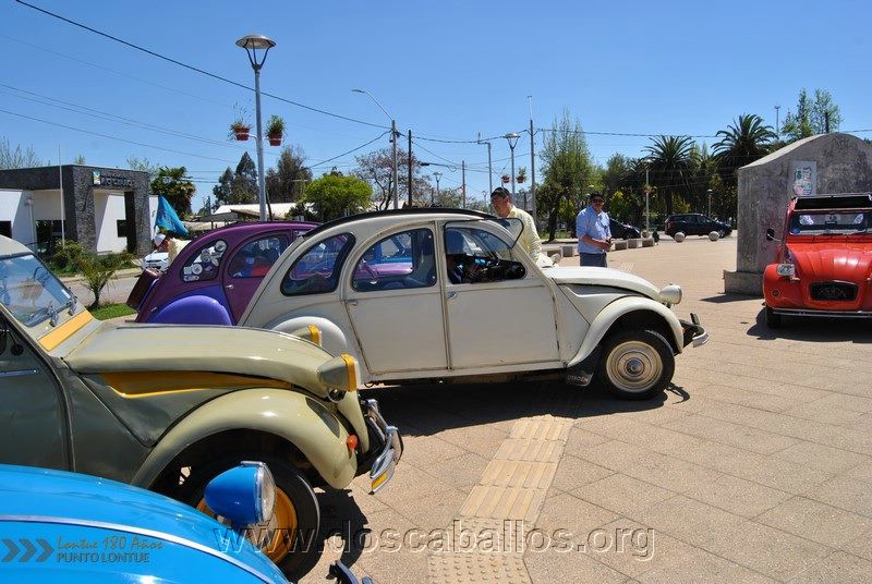 CITRONETAS_RIO_CLARO_052