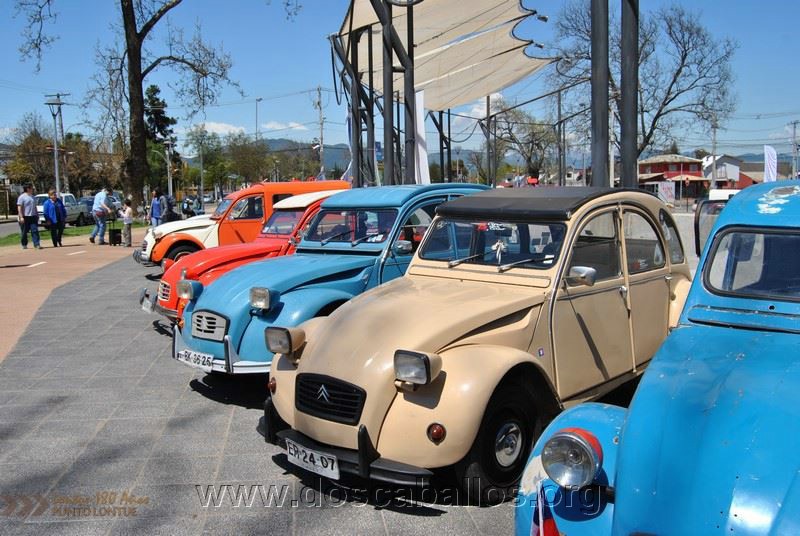 CITRONETAS_RIO_CLARO_053