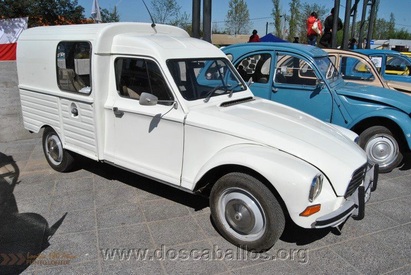 CITRONETAS_RIO_CLARO_054