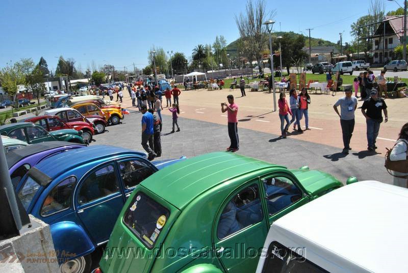 CITRONETAS_RIO_CLARO_059