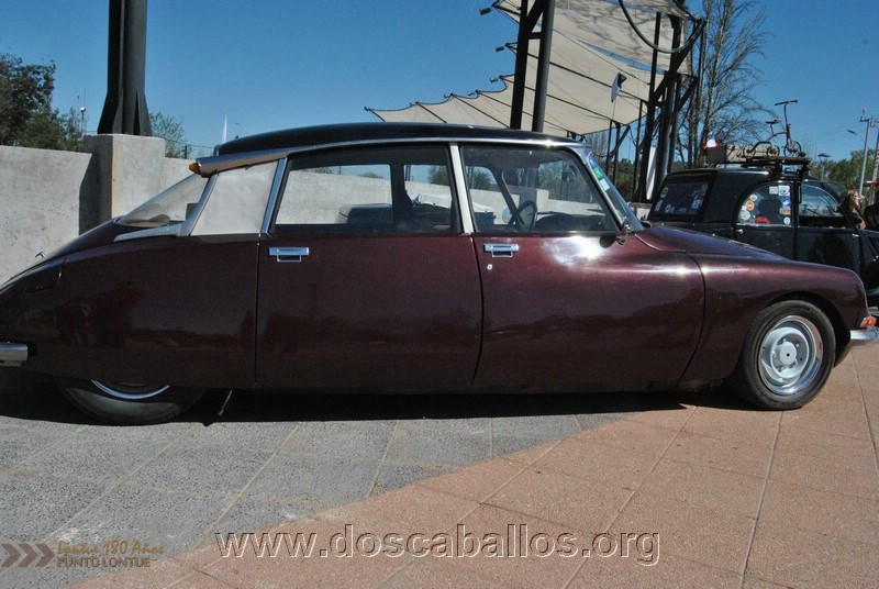 CITRONETAS_RIO_CLARO_064