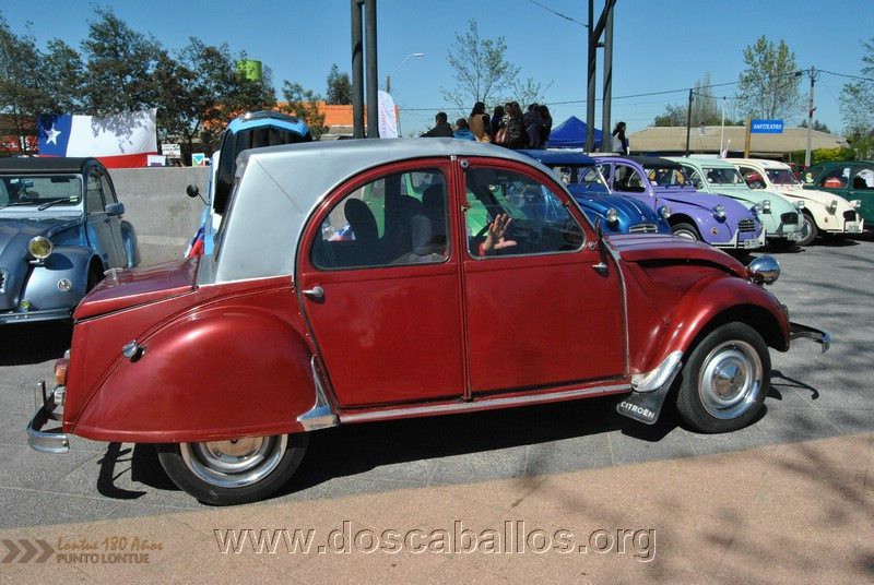 CITRONETAS_RIO_CLARO_065