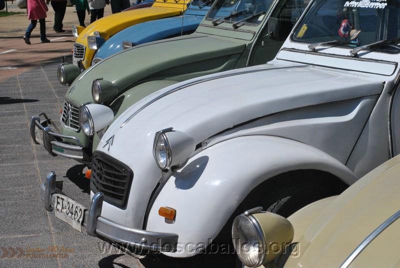 CITRONETAS_RIO_CLARO_067