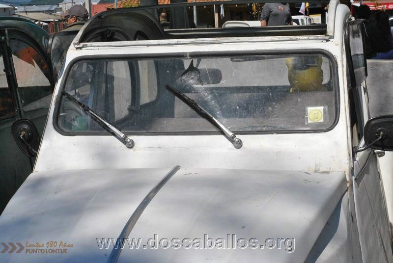 CITRONETAS_RIO_CLARO_068