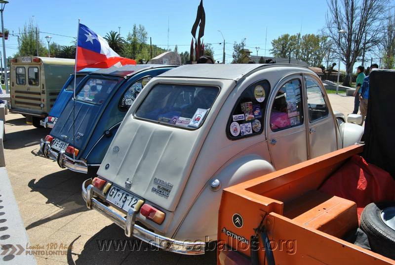CITRONETAS_RIO_CLARO_070