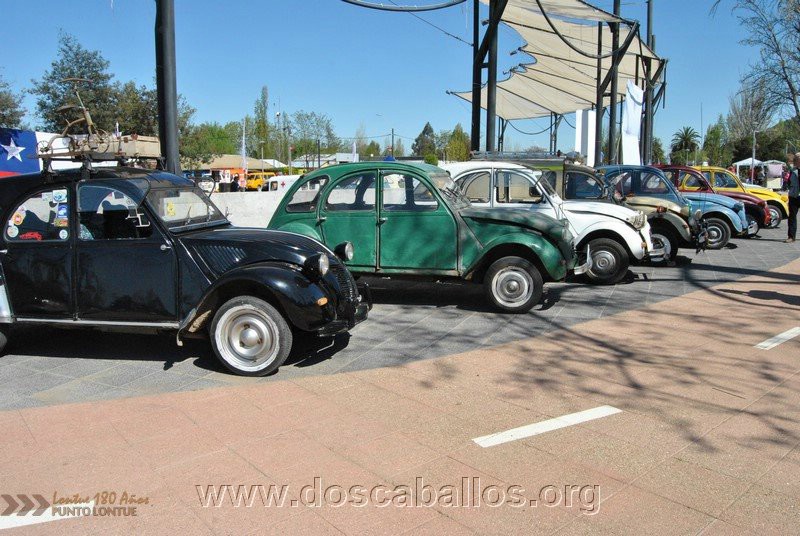 CITRONETAS_RIO_CLARO_072