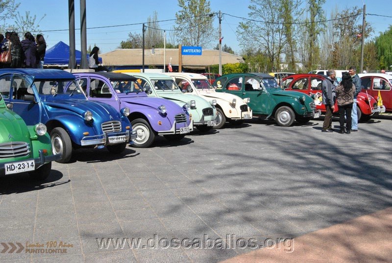 CITRONETAS_RIO_CLARO_073