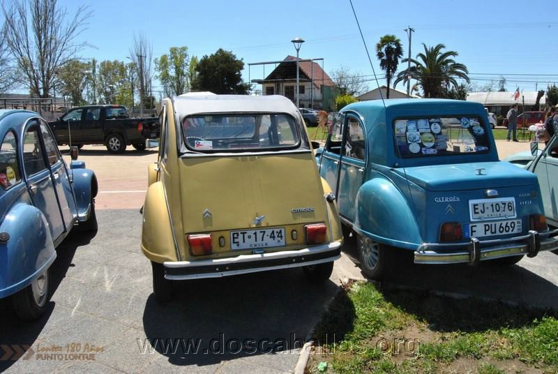 CITRONETAS_RIO_CLARO_074