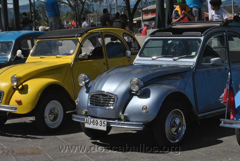 CITRONETAS_RIO_CLARO_077