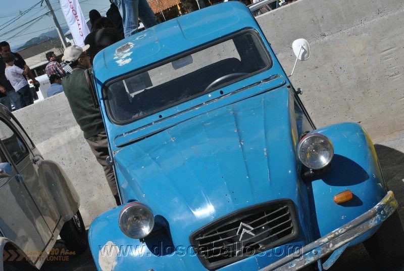 CITRONETAS_RIO_CLARO_080
