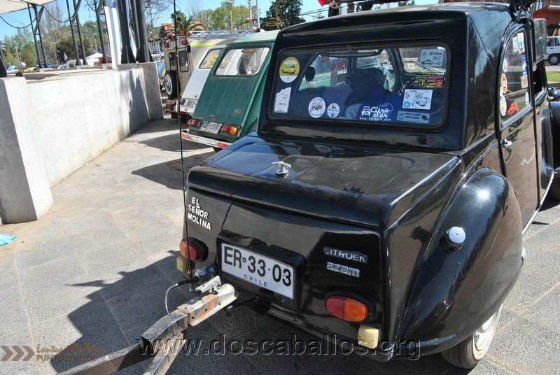 CITRONETAS_RIO_CLARO_084