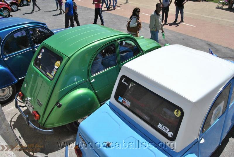 CITRONETAS_RIO_CLARO_086