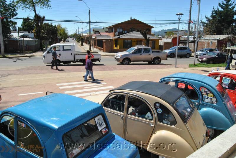 CITRONETAS_RIO_CLARO_089