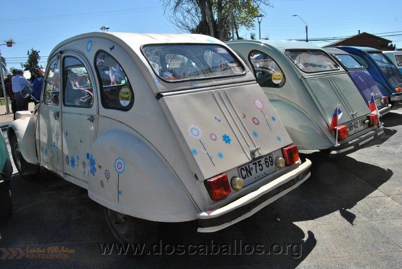 CITRONETAS_RIO_CLARO_091