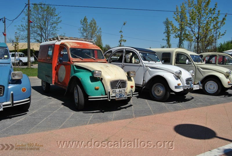 CITRONETAS_RIO_CLARO_093