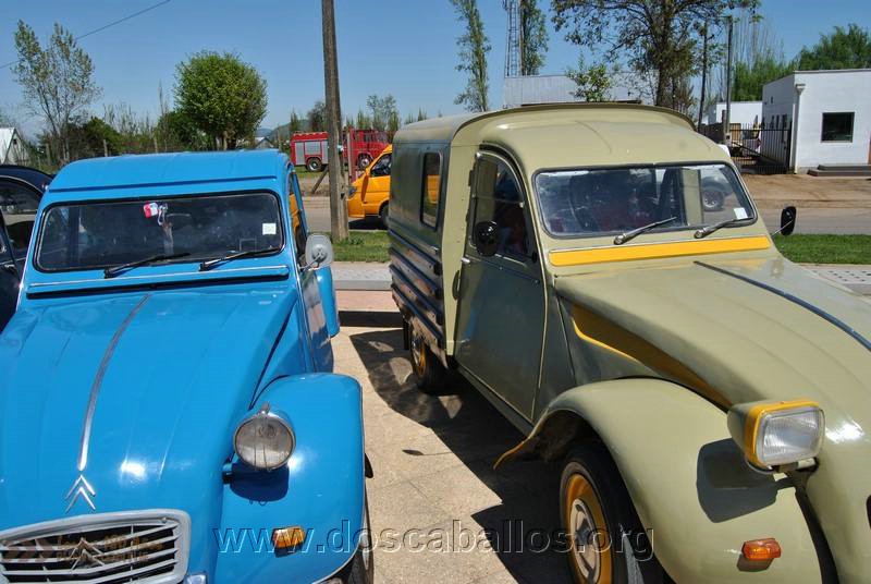 CITRONETAS_RIO_CLARO_097