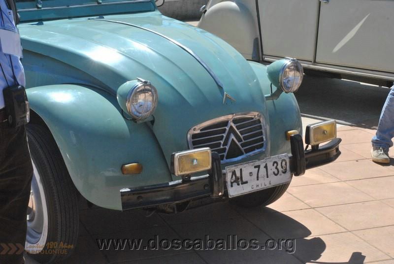 CITRONETAS_RIO_CLARO_105