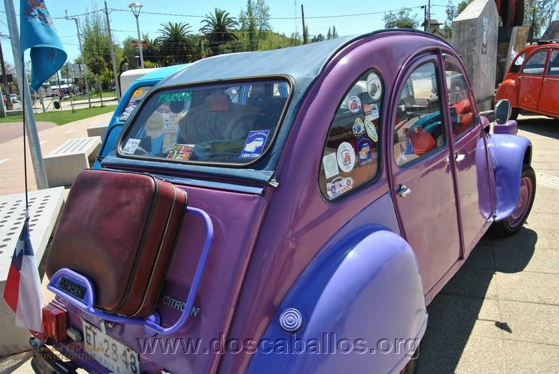 CITRONETAS_RIO_CLARO_109