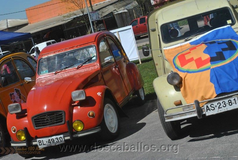 CITRONETAS_RIO_CLARO_110