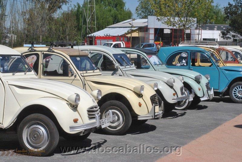CITRONETAS_RIO_CLARO_112