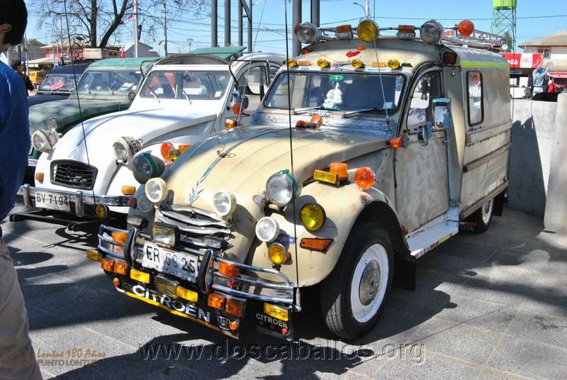CITRONETAS_RIO_CLARO_114