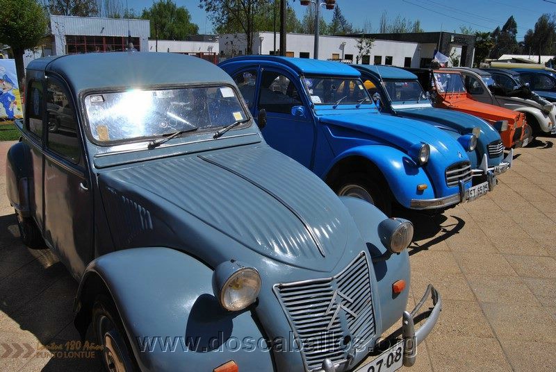CITRONETAS_RIO_CLARO_115
