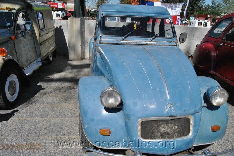 CITRONETAS_RIO_CLARO_117