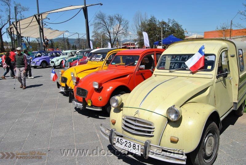 CITRONETAS_RIO_CLARO_118