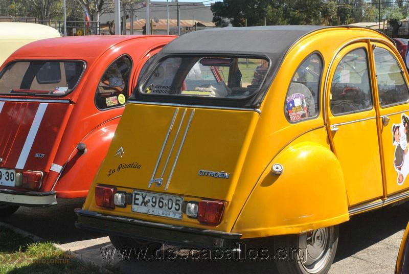 CITRONETAS_RIO_CLARO_119