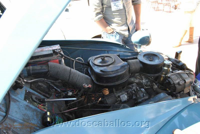 CITRONETAS_RIO_CLARO_120