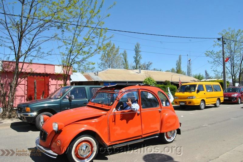 CITRONETAS_RIO_CLARO_121