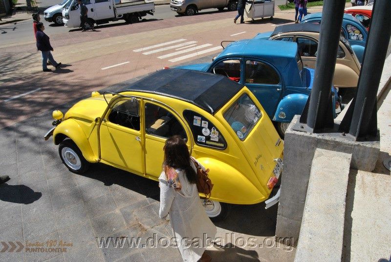 CITRONETAS_RIO_CLARO_123